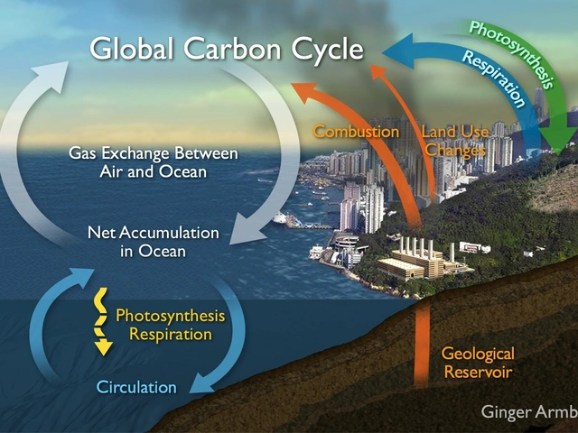 The science behind calcium carbonate and ocean acidification